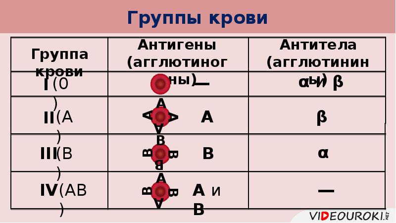 Основные группы антигенов. Группы крови антигены и антитела. Антигены и антитела групп крови при переливании. Группы крови таблица антигены антитела. Группы крови антигены и агглютинины.
