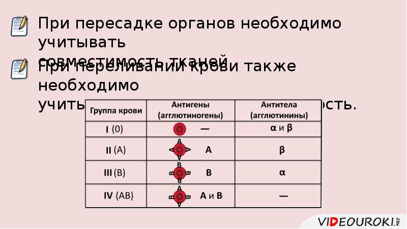 Тканевая совместимость и переливание крови 8 класс биология презентация