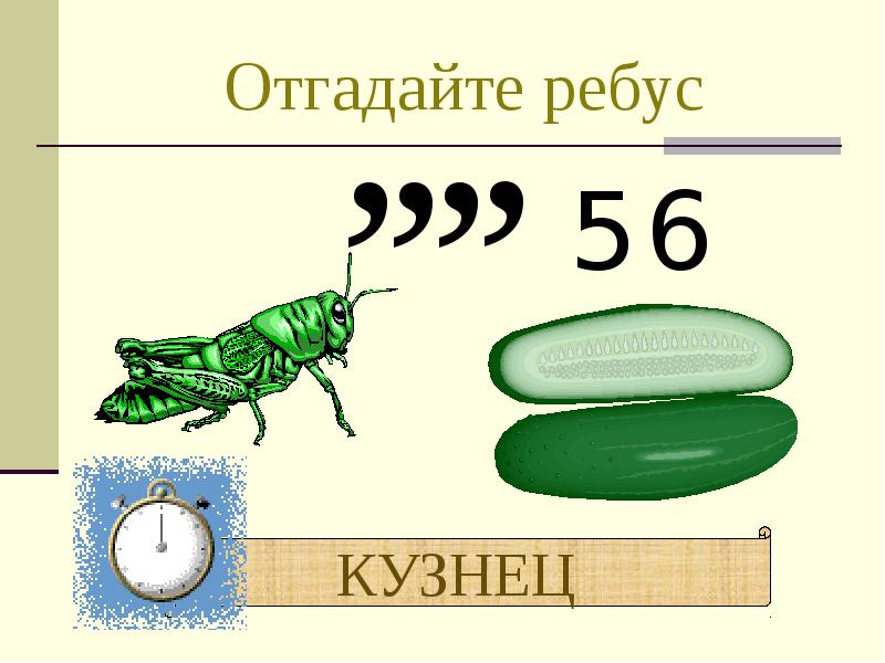 Отгадайте ребус Отгадайте ребус