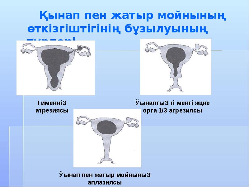 Әйел жыныс мүшелерінің қабыну аурулары презентация