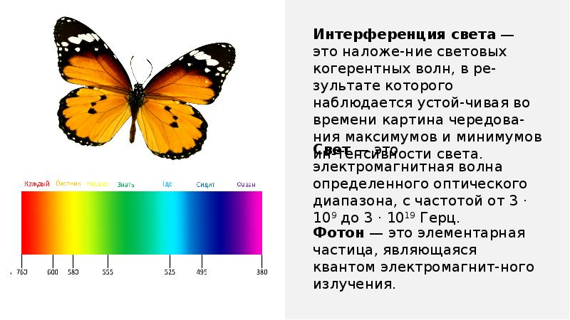 Интерференция света примеры. Интерференция света. Электромагнитная природа света. Интерференция света в природе. Применение интерференции бабочки.