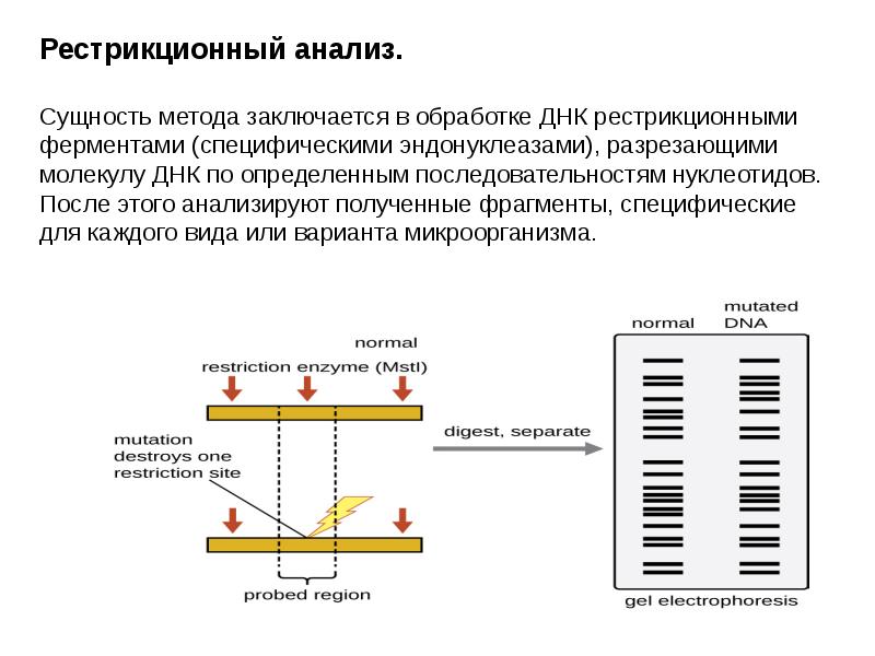 Карта рестрикционная это