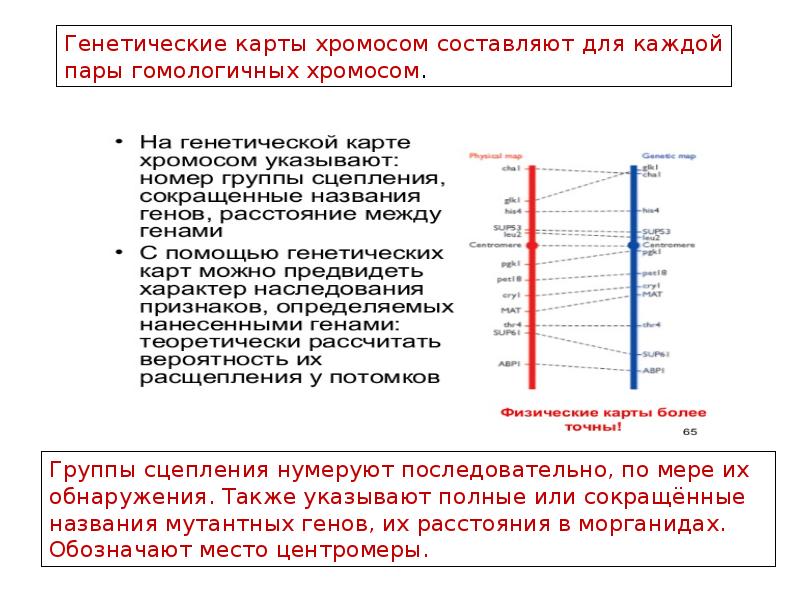 Картирование урожайности презентация