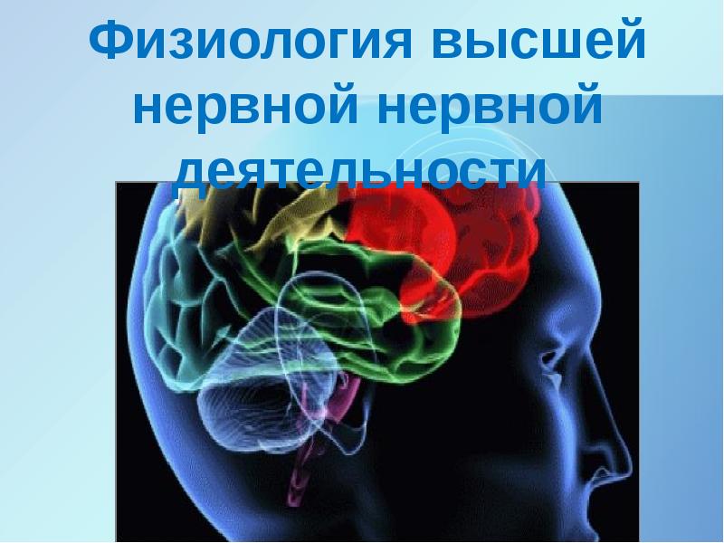 Вклад ученых в разработку учения о высшей нервной деятельности презентация