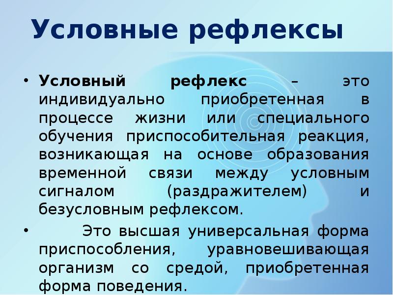 Презентация на тему особенности высшей нервной деятельности человека познавательные процессы