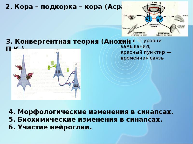 Высшая нервная деятельность презентация 8 класс