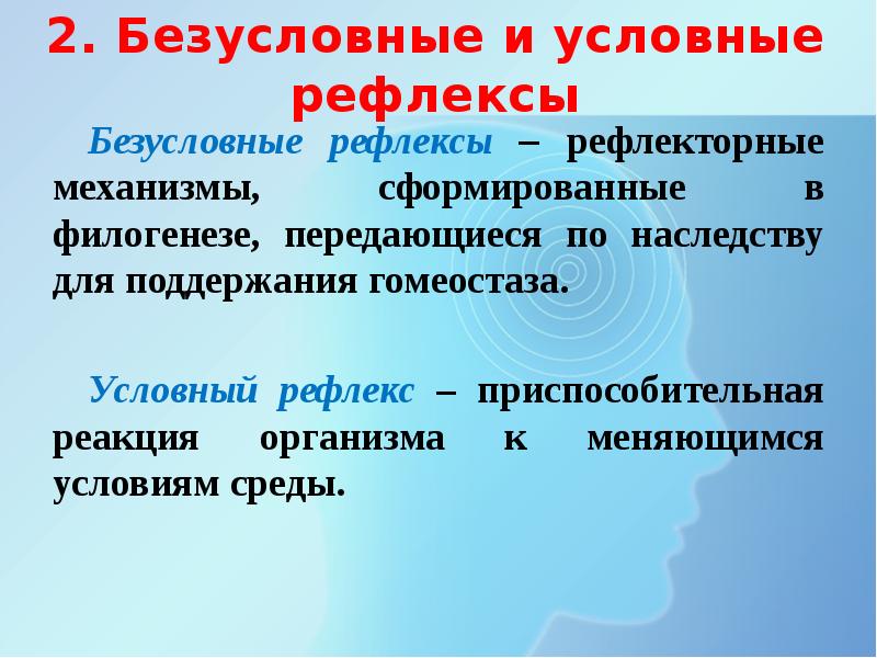 Особенности высшей нервной деятельности презентация 8 класс