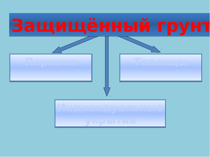 Виды защищенного грунта презентация