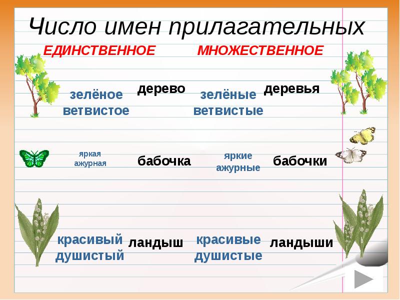 Карточки по русскому языку число имен прилагательных. Имя прилагательное изменяется по числам 2 класс. Изменение имен прилагательных по числам 2 класс. Имен прилагательных по числам 2 класс. Изменение имен прилагательных по числам таблица.