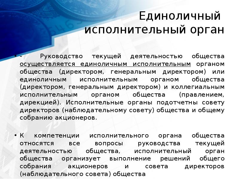 Единоличный  исполнительный орган - Руководство текущей деятельностью общества осуществляется единоличным