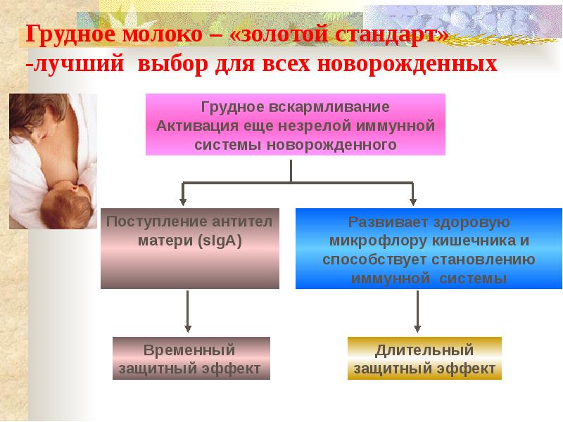 Вскармливание детей презентация