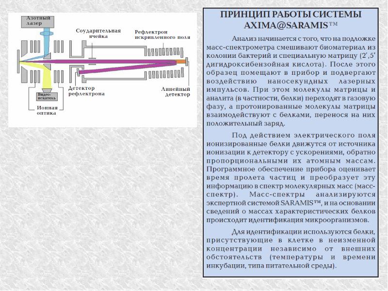 Масс спектрометрия презентация