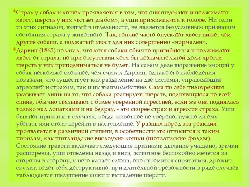 Страх у собак и кошек проявляется в том, что они опускают