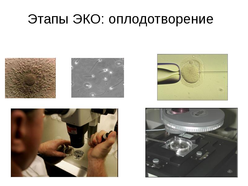 Репродуктивные технологии презентация