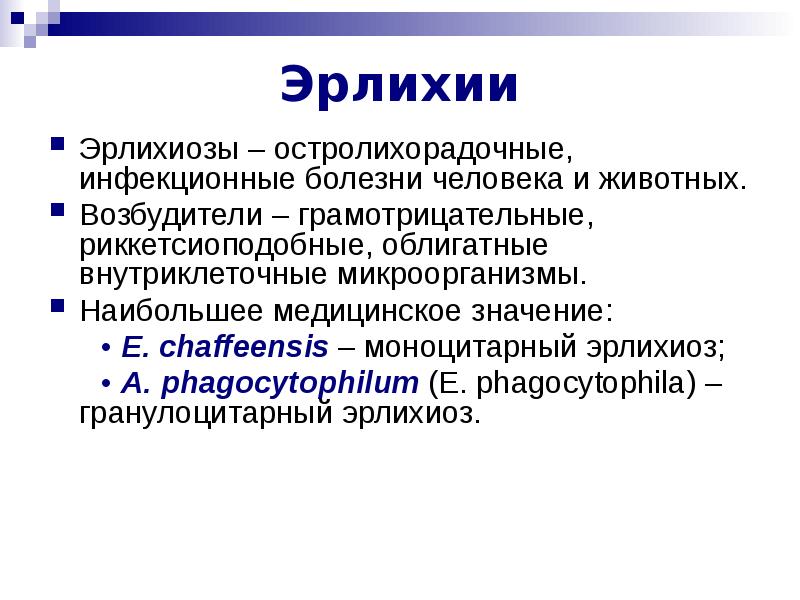 Эрлихиоз презентация инфекционные болезни