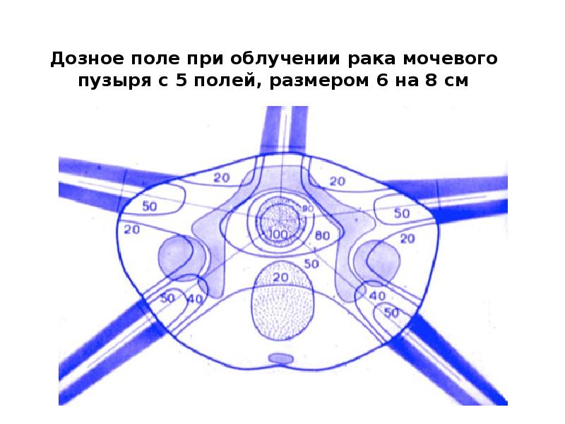 Лучевой равномерно