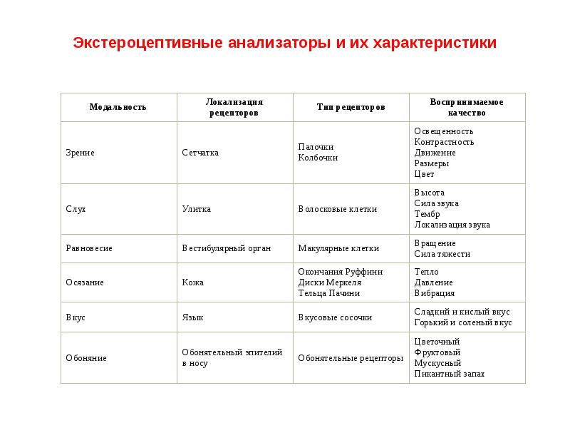 Характеристика анализаторов. Анализатор локализация рецепторов таблица. Экстероцептивные анализаторы и их характеристики». Виды рецепторов анализаторов. Виды анализаторов и характеристика.