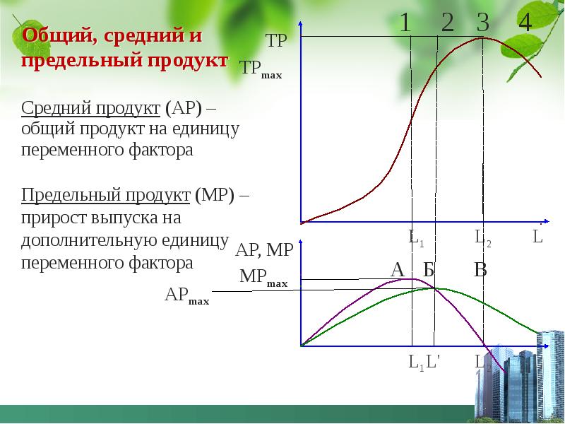 Предельный фактор. График среднего и предельного продукта. Общий средний и предельный продукт. Общий средний и предельный продукт переменного фактора. Общий продукт средний продукт предельный продукт.