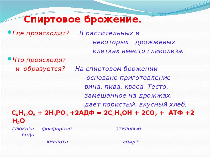 Спиртовое брожение. Где происходит?   В растительных и  