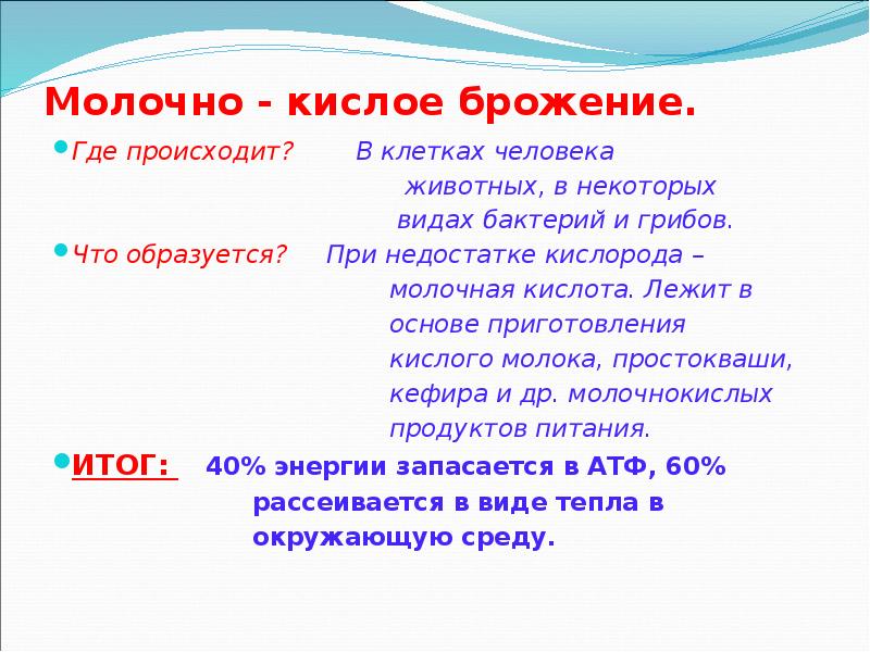 Молочно - кислое брожение. Где происходит?    В клетках
