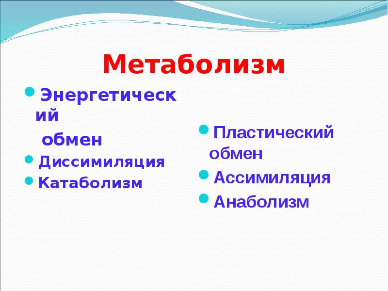 Метаболизм Энергетический    обмен Диссимиляция Катаболизм