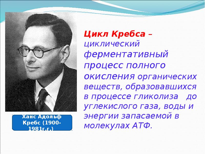 Цикл Кребса – циклический ферментативный процесс полного окисления органических веществ, образовавшихся