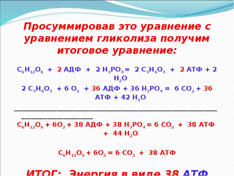 Просуммировав это уравнение с уравнением гликолиза получим итоговое уравнение:  