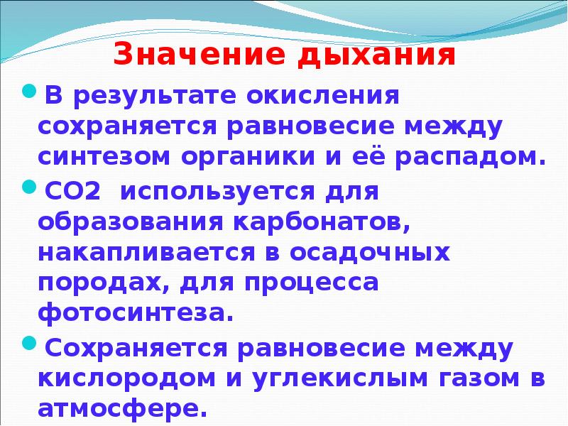 Значение дыхания В результате окисления сохраняется равновесие между синтезом органики и