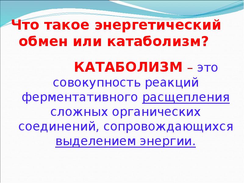 Что такое энергетический обмен или катаболизм?     