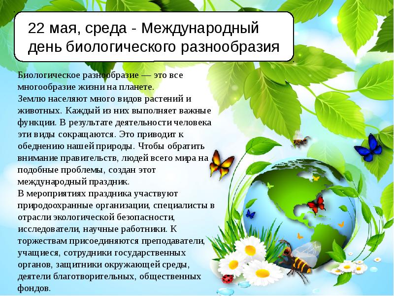 Экологический календарь природы