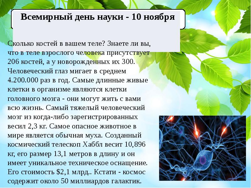 Презентация 2 класс экологический календарь перспектива