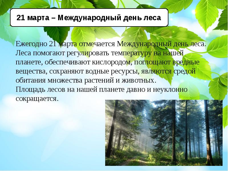 Презентация проектов по выбору 4 класс окружающий мир конспект урока