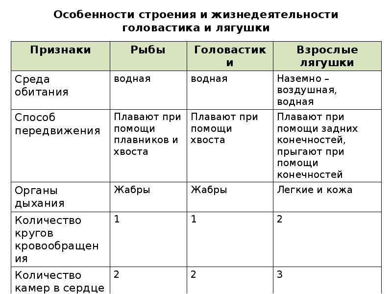 Презентация на тему многообразие животных 7 класс