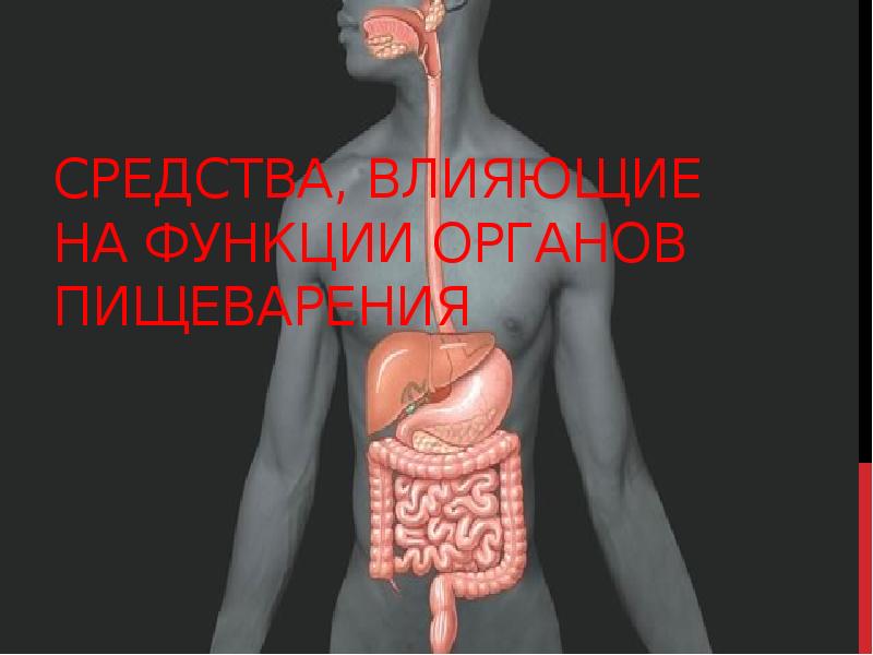 Препараты влияющие на органы пищеварения. Хастла на органов пищеварения Шалимов.