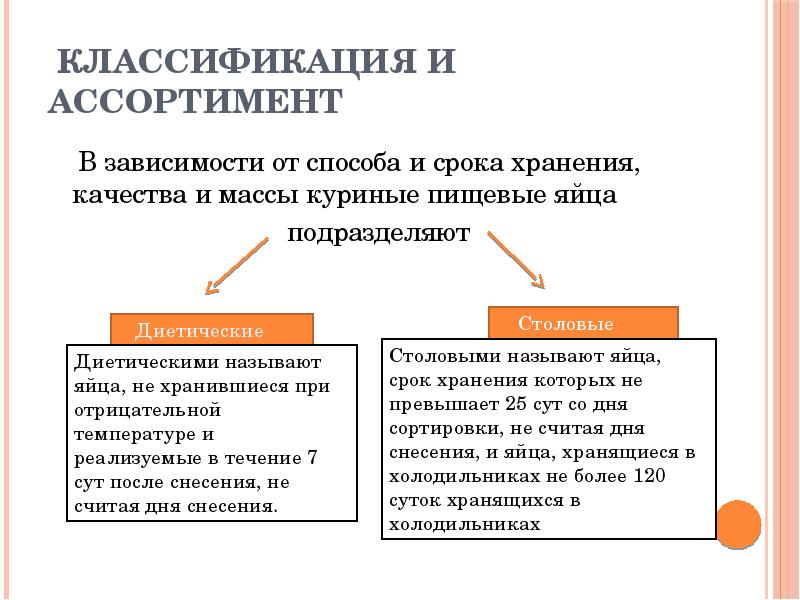 Классификация сроков