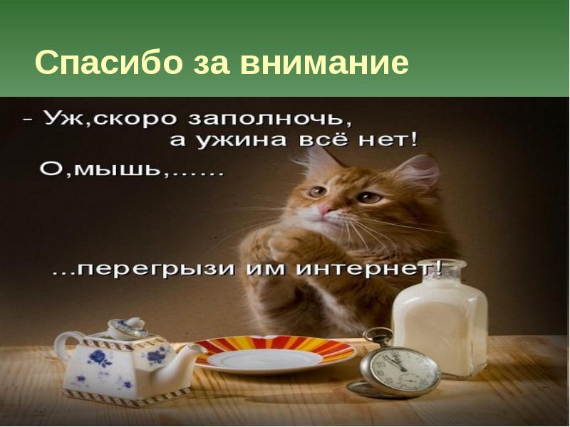 Сестринская помощь при мочекаменной болезни презентация