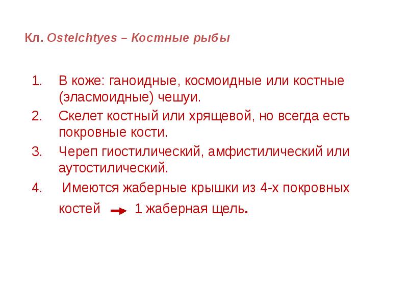 Кл. Osteichtyes – Костные рыбы
В коже: ганоидные, космоидные или Кл. Osteichtyes – Костные рыбы
В коже: ганоидные, космоидные или
