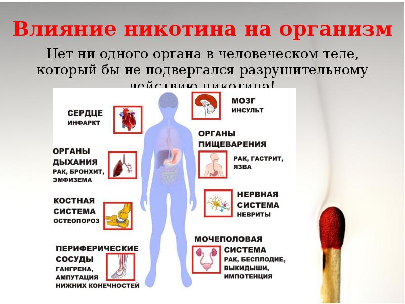 Всемирный день без табака презентация для студентов