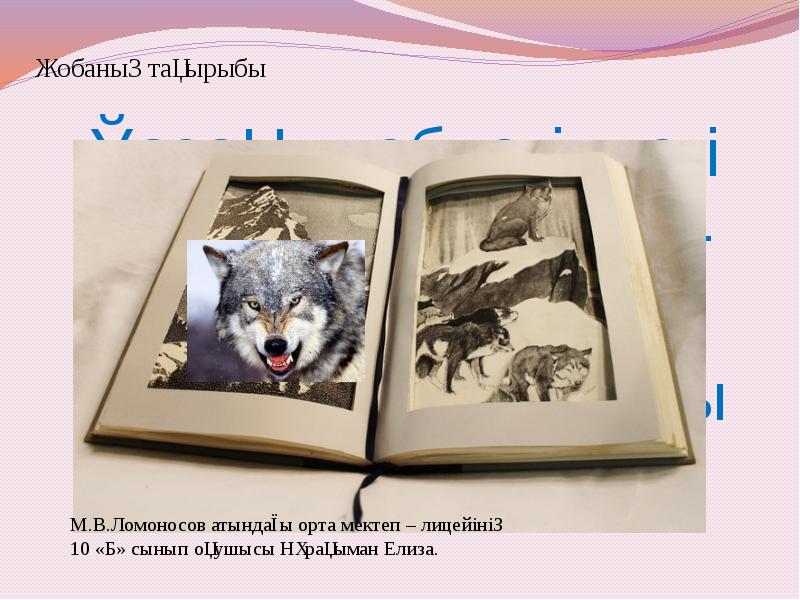 Қазақ әдебиетіндегі «Көк бөрі» бейнесі - «Мәңгілік ел» идеясының символы Қазақ әдебиетіндегі «Көк бөрі» бейнесі - «Мәңгілік ел» идеясының символы