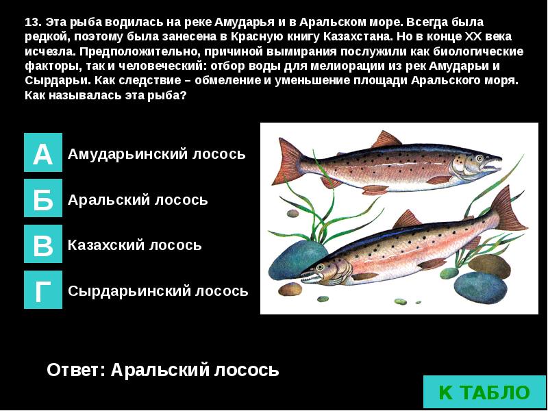 Рыбы из красной книги казахстана