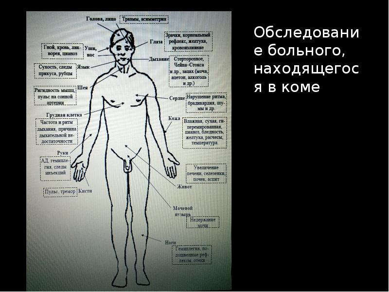 Кома осмотр. Обследование больного, находящегося в коме. Схема обследования больного, находящегося в коматозном состоянии. План обследования больного в коме. Осмотр пациента в коме неврология.