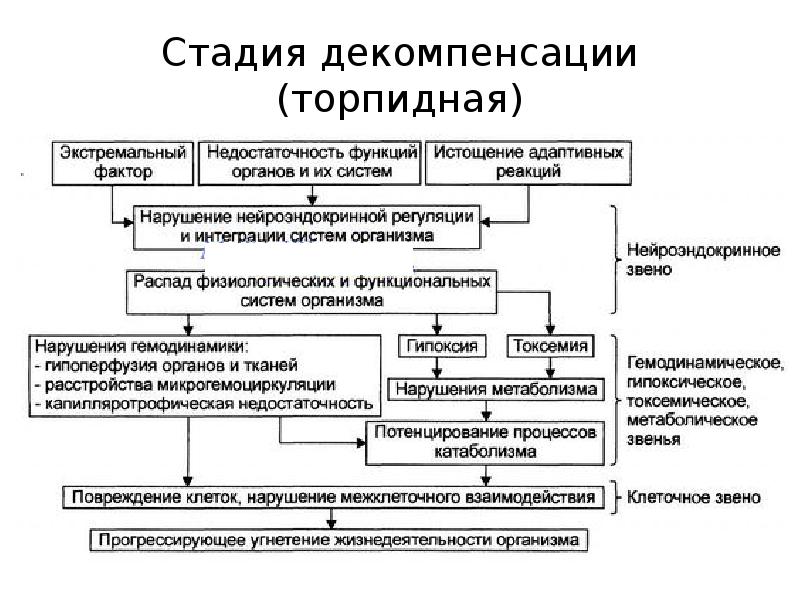 Схема цепная реакция при шоке