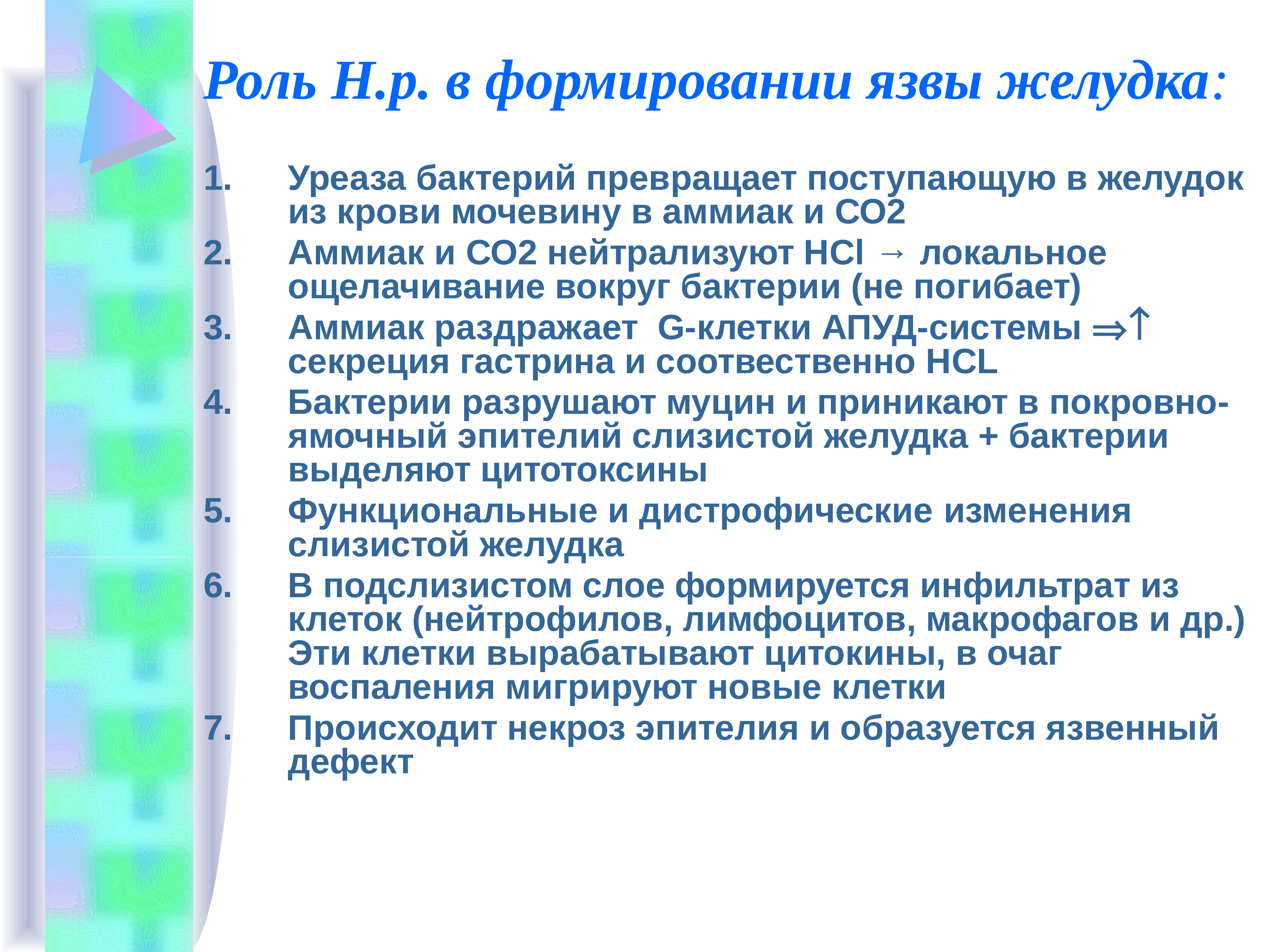 Роль н. Уреаза бактерий. Роль стресса в развитии язвы желудка. Уреаза фермент бактерий. Уреаза желудка.