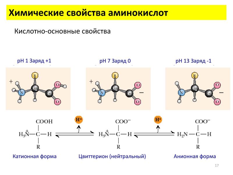 Свойства аминов кислотами. Аминокислоты химические свойства реакции. Химические свойства аминокислот кислотно-основные свойства. Физико-химические свойства α-аминокислот. Физические св-ва аминокислот.