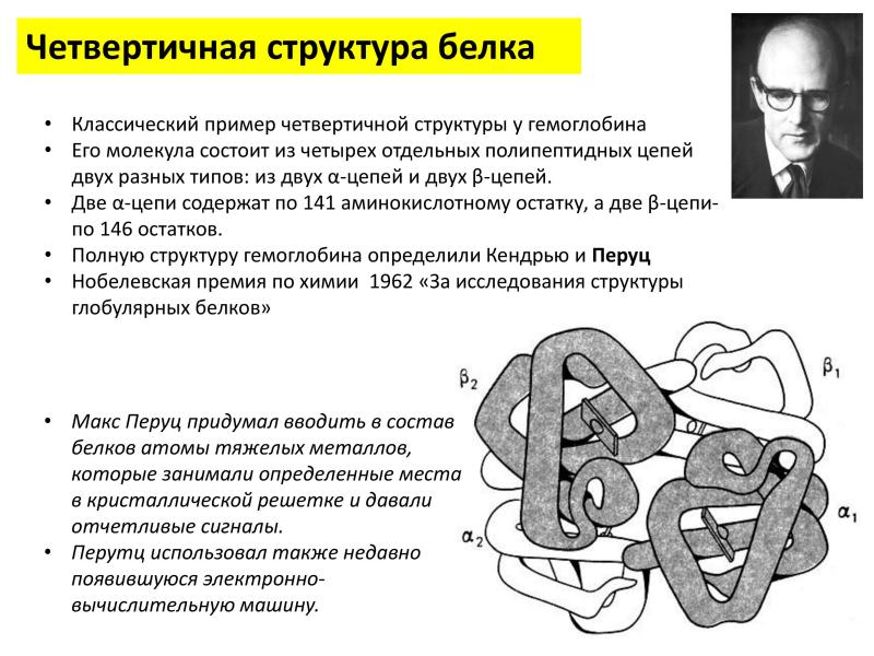 Четвертичная молекула белка. Четвертичная структура гемоглобина. Четвертичной структуры белка белка гемоглобина.. Четвертичная структура белка цепь. Четвертичная структура белка гемоглобина связи.