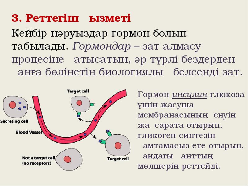 Зат алмасу процесін реттейтін дәрілер презентация