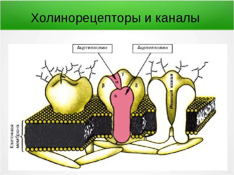 Пластмассы и волокна презентация 10 класс