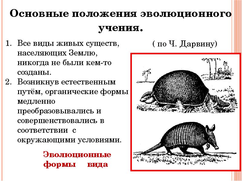 Эволюционное учение презентация