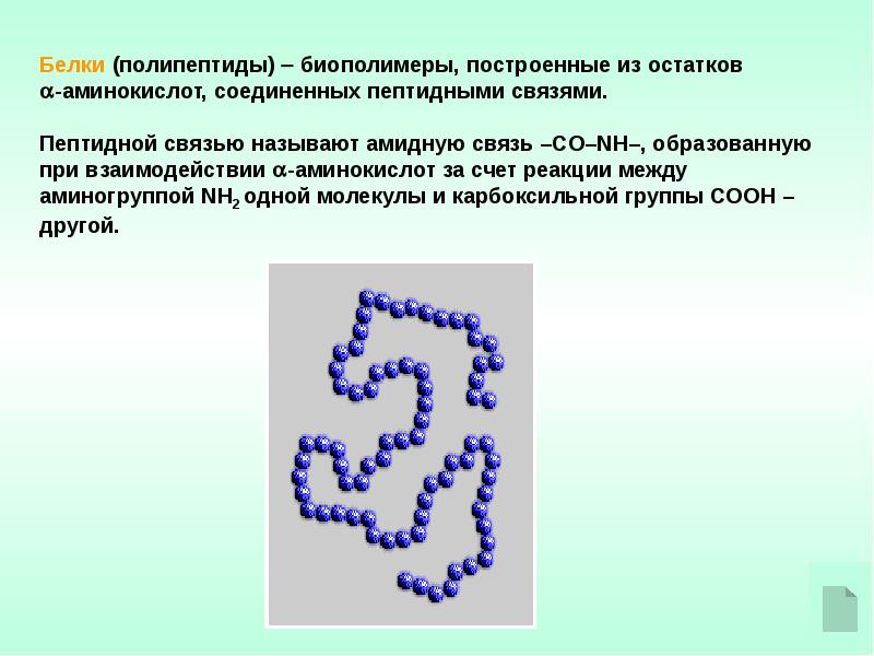 Аминокислоты белки презентация