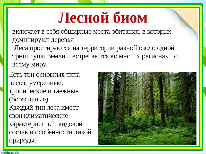 Разнообразие и ценность естественных биогеоценозов суши презентация 9 класс